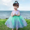 Amazon's best-selling children's dress for export: A princess dress for small and medium-sized children, lace color-blocked dress, Spring 2023 children's clothing details Picture